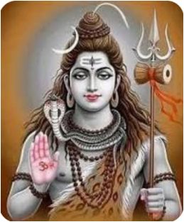 shiv